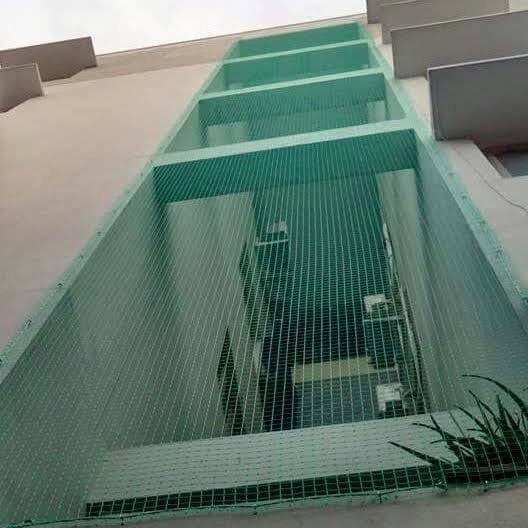 Bird Spikes Installation Chennai