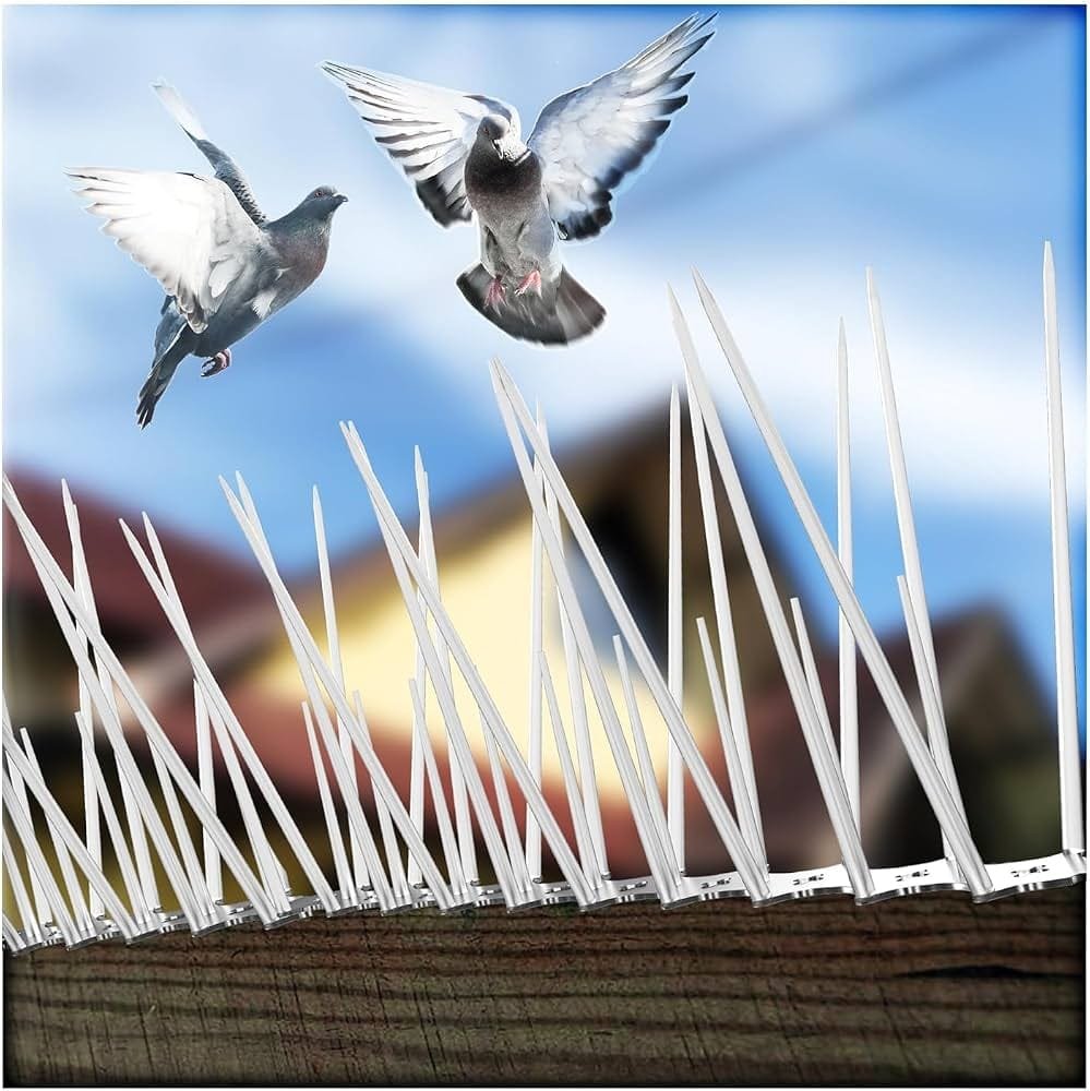 Bird Spikes